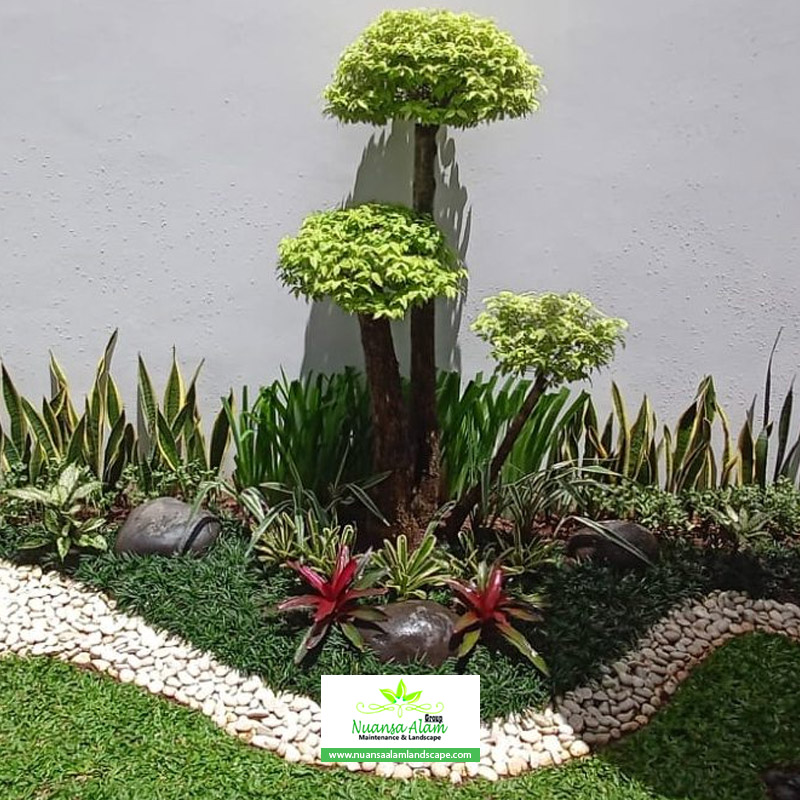 Jasa Pembuatan Taman Minimalis BSD